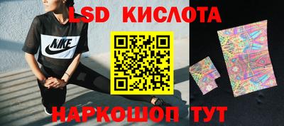 винт Тара
