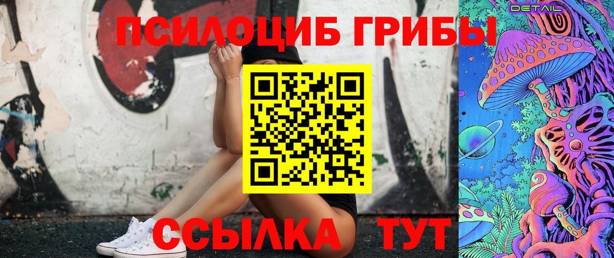 Псилоцибиновые грибы Psilocybe  Вход с VPN  Александров  Галлюциногенные грибы Psilocybe 